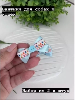 Бантики для собак и кошек, набор для груминга