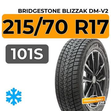 Bridgestone Blizzak DM-V2 215/70 R17 101S