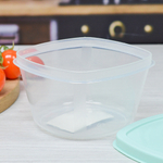 Контейнер бокс V=550г