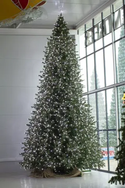 Интерьерная светодинамическая искусственная елка Сказочная Премиум 6,5 м., ствольная, Литая хвоя+ПВХ, Green Trees (GT6,5SKLED)