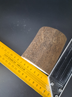 Бивень мамонта для коллекции и поделок