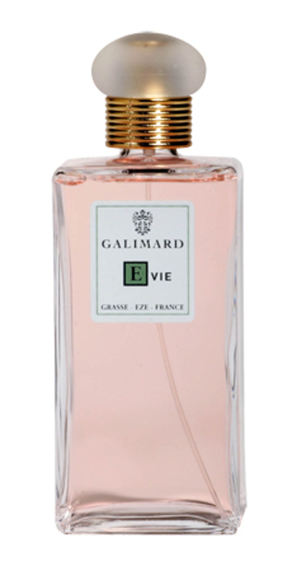Galimard Evie