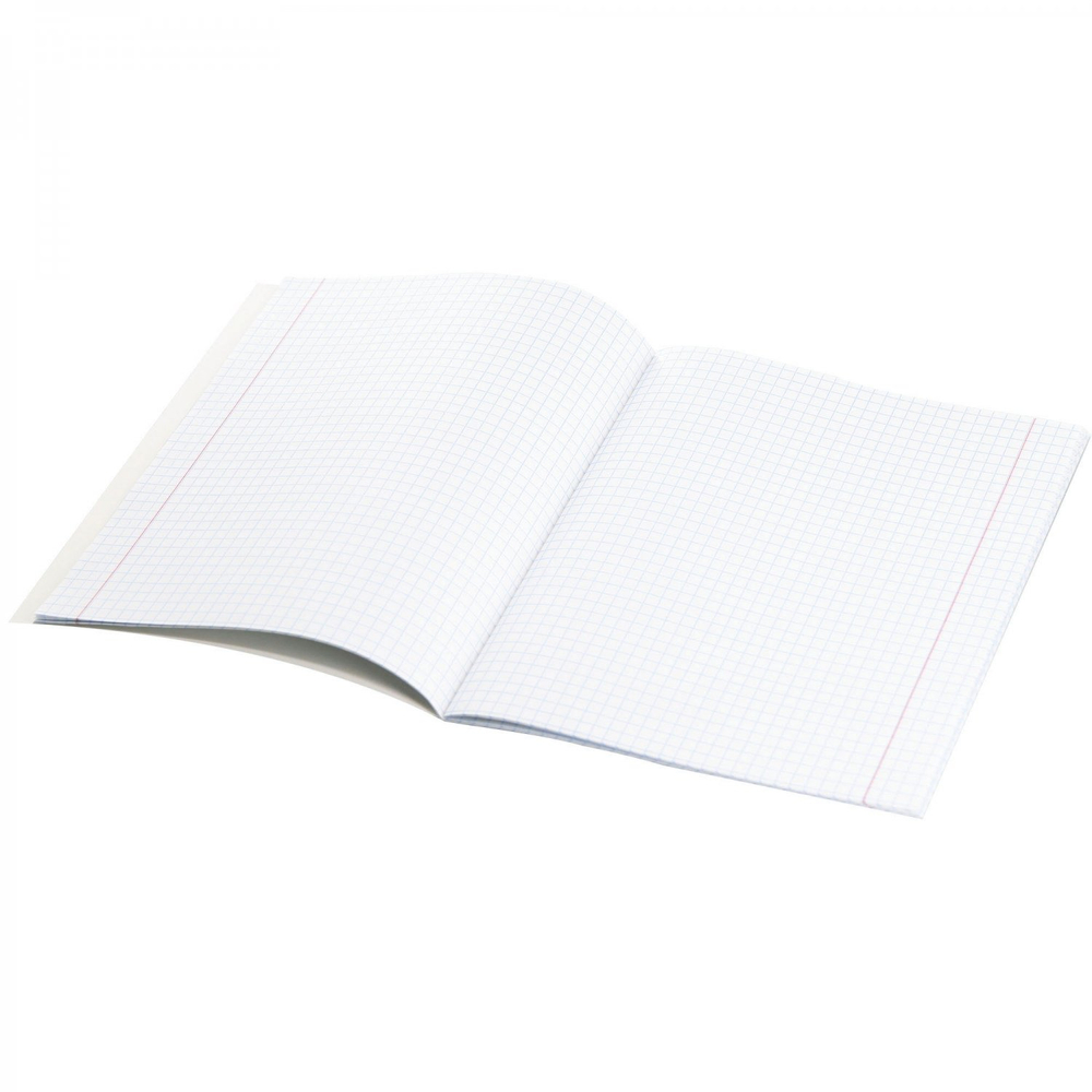 Тетрадь предметная "Физика" А5 48л., клетка, со справочным матер, скрепка, мелованный картон(стандарт), блок офсет, Alingar "My craft world"