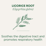 Traditional Medicinals, корень органической солодки, без кофеина, 16 чайных пакетиков, 24 г (0,85 унции)