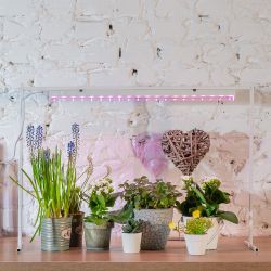 ULI-P12-18W-SPLE IP40 WHITE Светильник для растений светодиодный линейный. 560мм. выкл. на корпусе. Спектр для фотосинтеза. TM Uniel