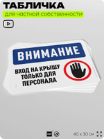 Табличка для частной территории "Внимание, вход на крышу только для персонала", на дом, для участка, организаций и частных территорий, предупреждающая, 40х30 см, Silver Plane x Айдентика Технолоджи