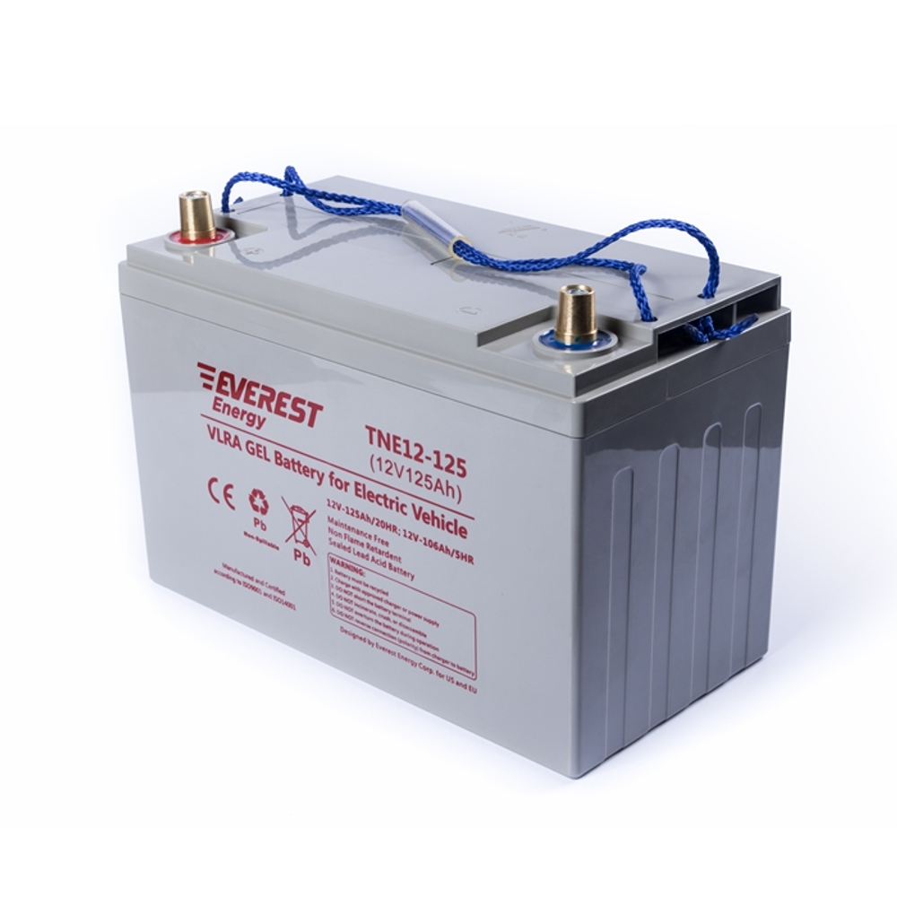 Тяговая аккумуляторная батарея EVEREST TNE 12-125