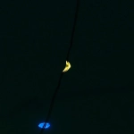 Гирлянда для дома на батарейках 1,5 м 15 ламп LED, 1 реж.,IP-20, Мультицвет