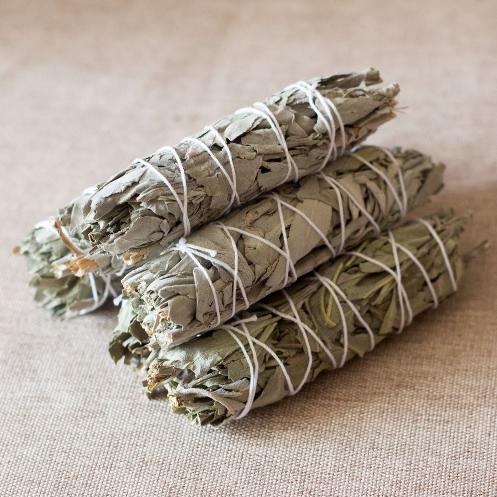 Шалфей Калифорнийский