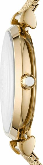 Наручные часы Emporio Armani AR11321