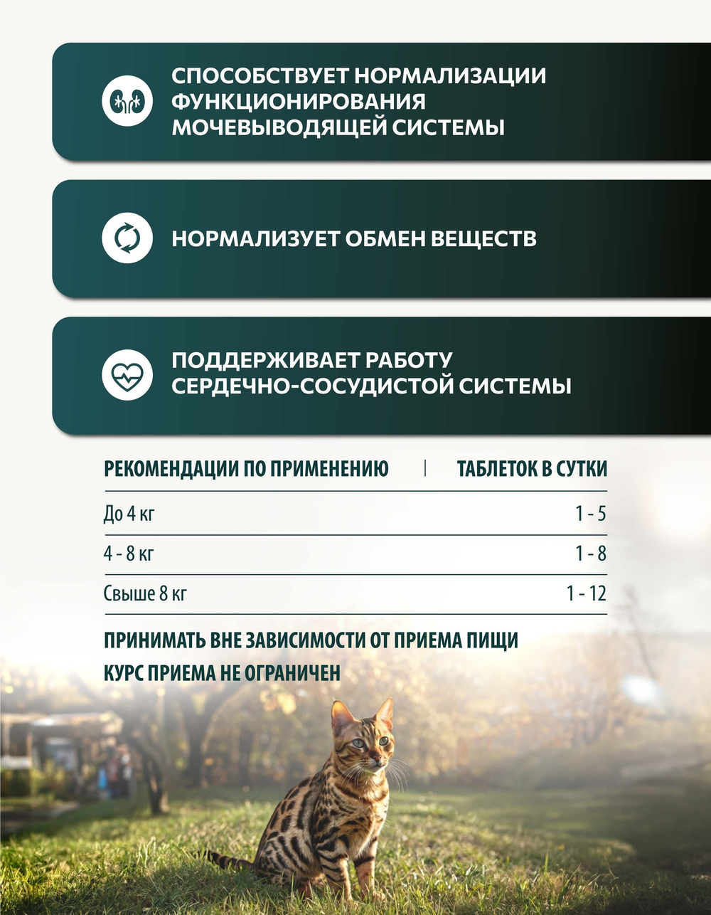 Vita+ мультивитаминное лакомство для кошек Для кастрированных котов и стерилизованных кошек, 90 таблеток