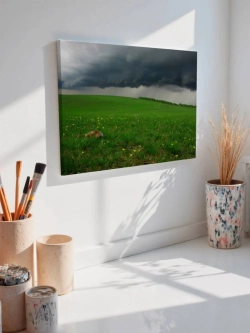 Картина на стену 40 X 50 Поле