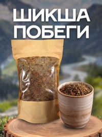 Шикша (побеги)