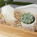 Подарочный бокс суккулент + свеча №2