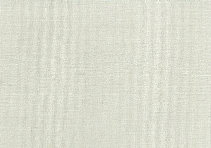 Ткань SIENA 16101 Textil Roig Ширина 140