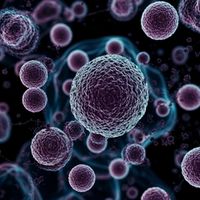 Бытовая химия