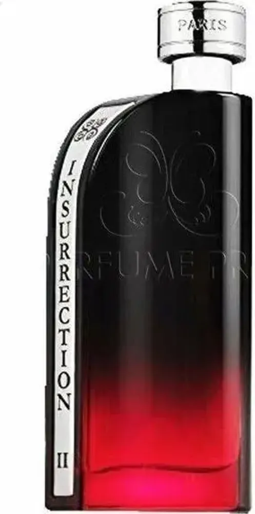 Мужская туалетная вода Reyane Tradition Insurrection II Dark EDT 90 мл