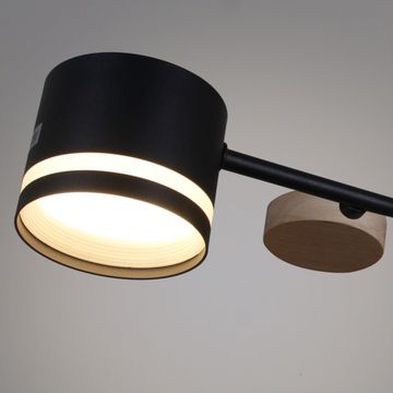 68730-0.3-10 GX53 BK+WOOD светильник потолочный