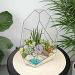 Готовый флорариум с суккулентами Калипсо с озером
