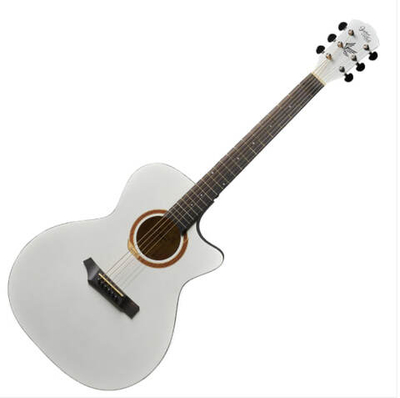 Акустическая гитара Gopherwood i132C Pearl Dust