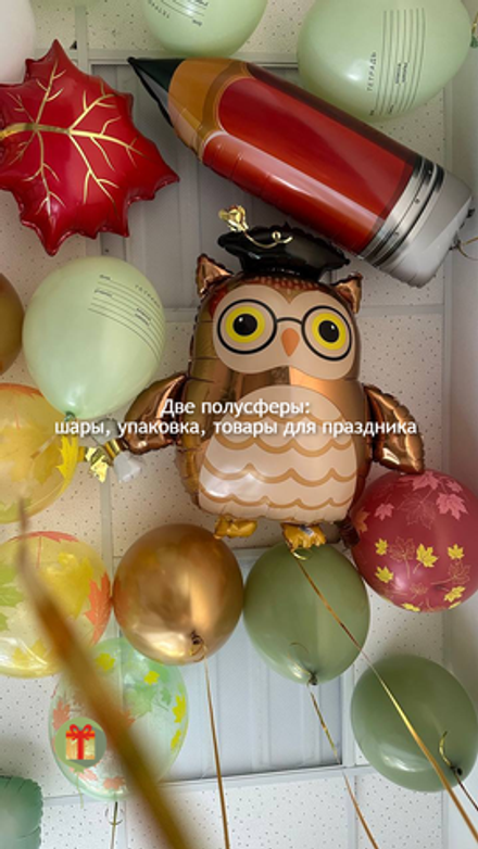 Набор шаров под потолок Совушка