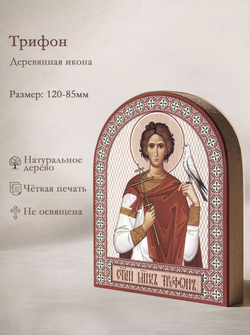 Икона аркой Трифон, мч. на дереве: 95 х 120 (Синопсисъ)