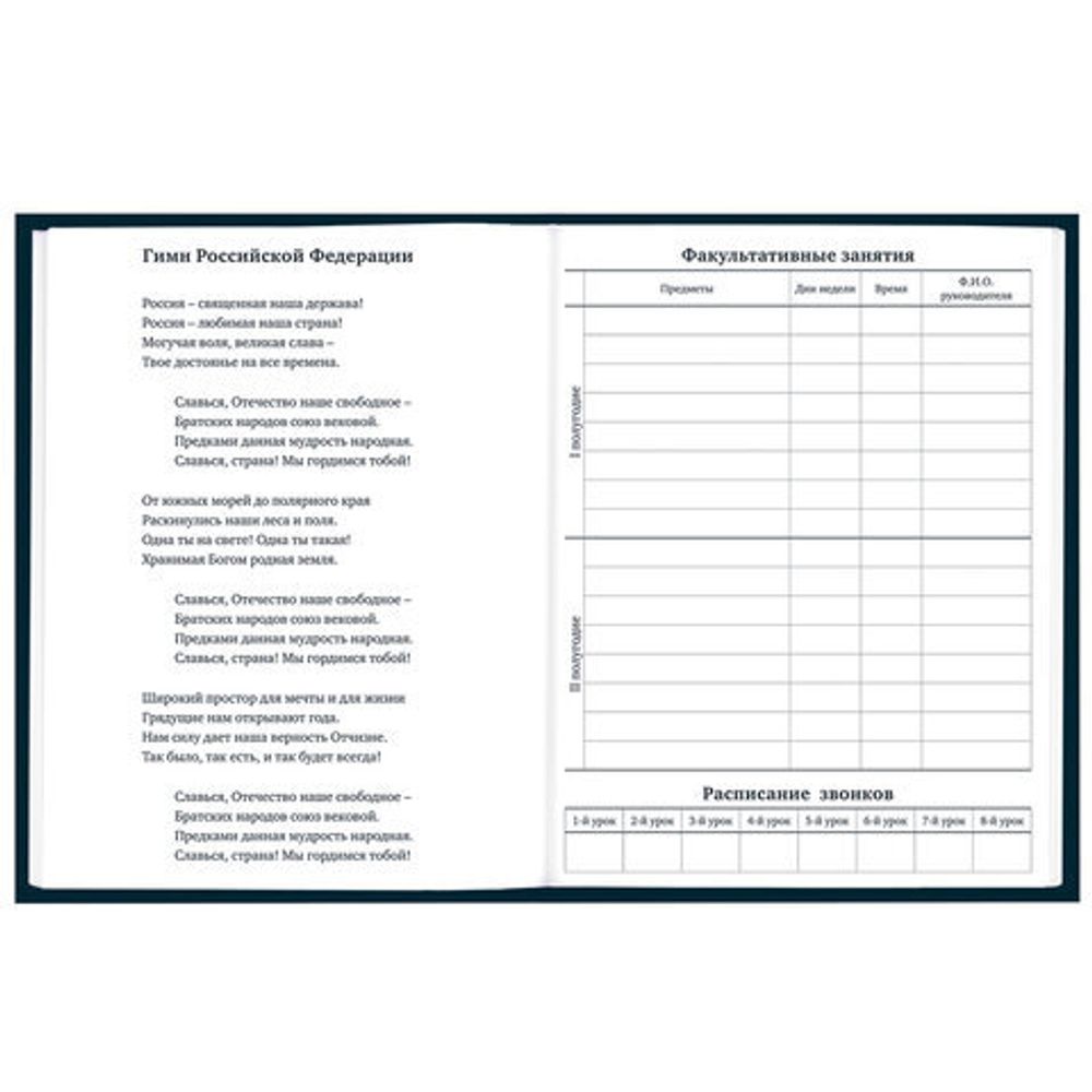 Дневник 1-11 класс 40 л., твердый, BRAUBERG, матовая ламинация, "Dragon", 107178