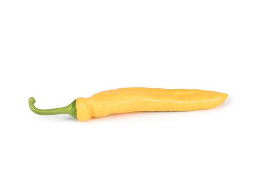 ЮКАРИНО F1 семена сладкого перца – фото 2