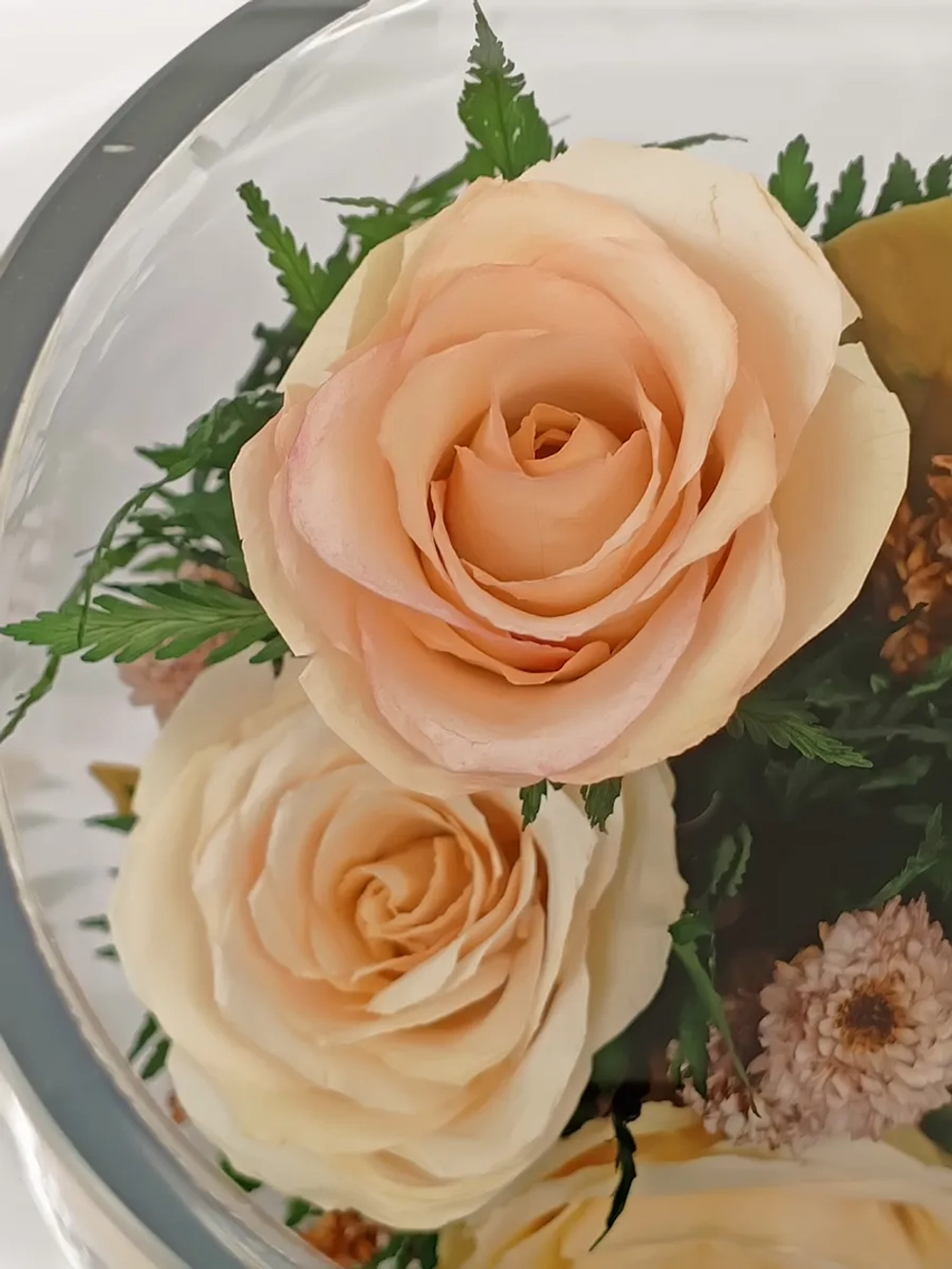 натуральные розы в стекле, вакуум