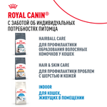 Royal Canin Indoor Long Hair Индор Лонг Хэйр Корм сухой для длинношерстных кошек в возрасте от 1 года до 7 лет живущих в помещении 2кг