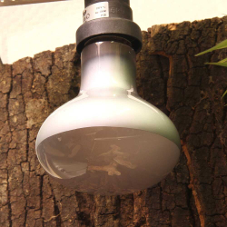 JBL ReptilSpot HaloDym 70 Вт - галогеновая неодимовая лампы для освещения и обогрева террариума