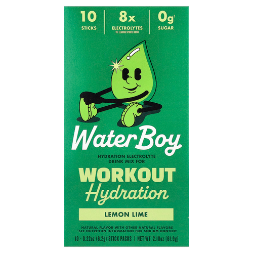 Waterboy, Workout Hydration, смесь для приготовления электролитического напитка, лимон и лайм, 10 пакетиков-стиков по 6,2 г (0,22 унции)