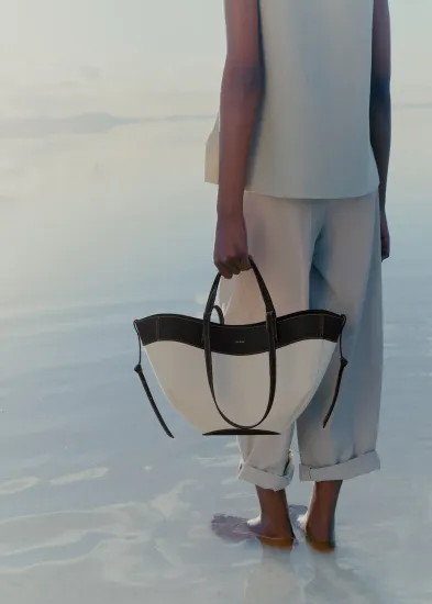 Сумка Polene Cyme