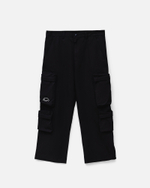 Брюки Anteater DoubleCargo-Black