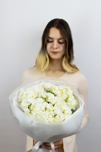 Букет из пяти белых колумбийских гортензий(№448)