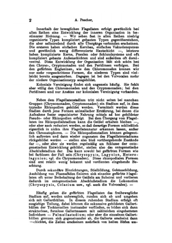 Die Süsswasser-Flora Deutschlands, Österreichs und der Schweiz | Adolf Pascher