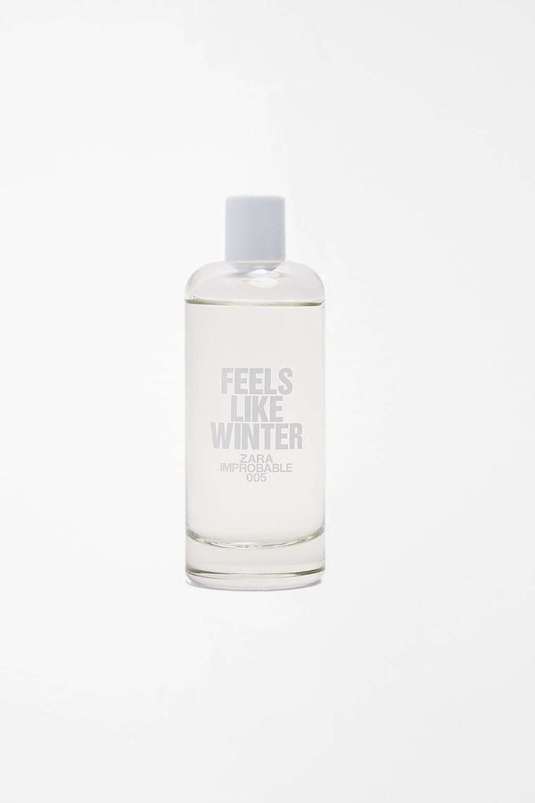 Zara 005 Feels Like Winter