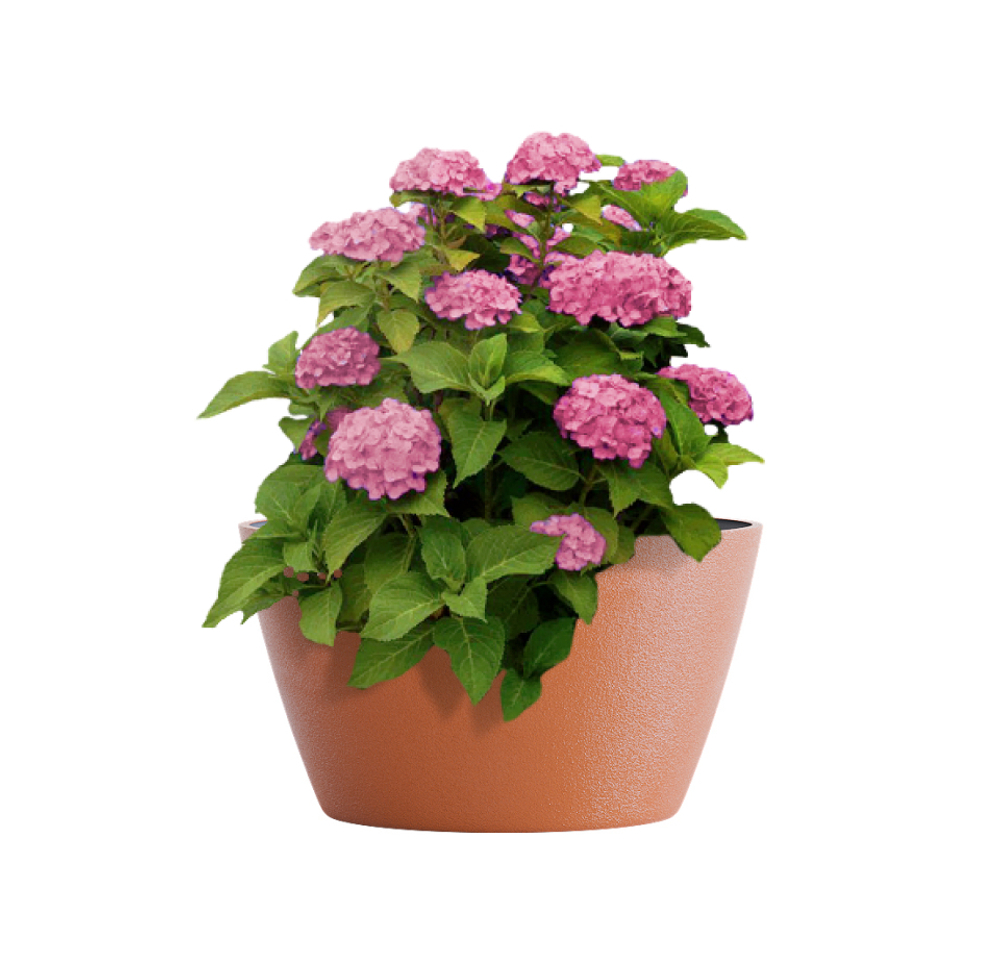 Кашпо, коллекция Classic, форма BOWL