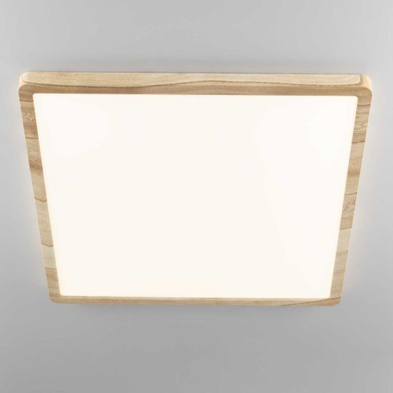 Светильник накладной Citilux Бейсик CL738K502V