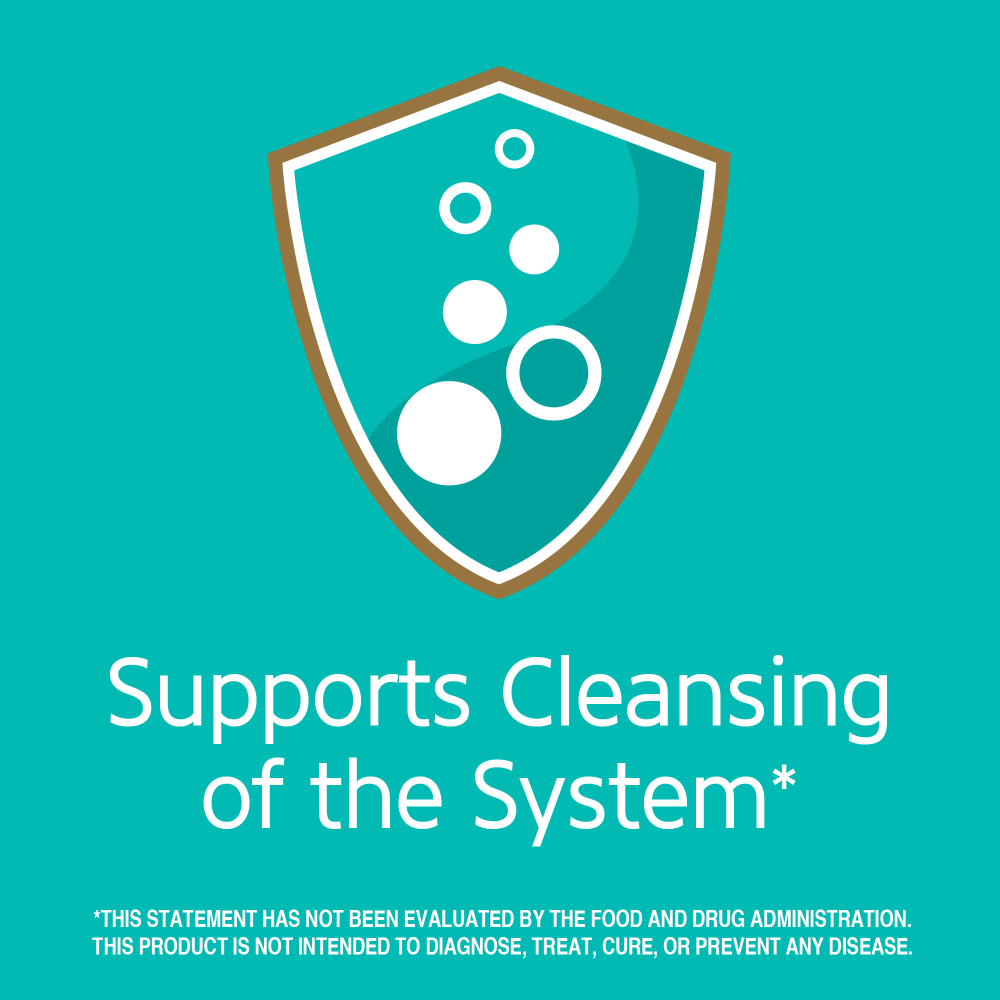 21st Century, Травяной чай для похудения, полностью натуральный, без кофеина, 24 чайных пакетика, 48 г (1,7 унции)