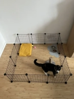 Вольер для животных собак кошек грызунов