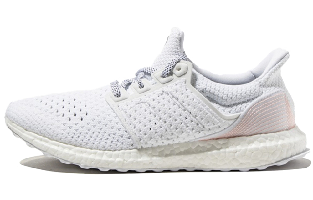 Кроссовки Adidas Ultraboost Clima V-Day