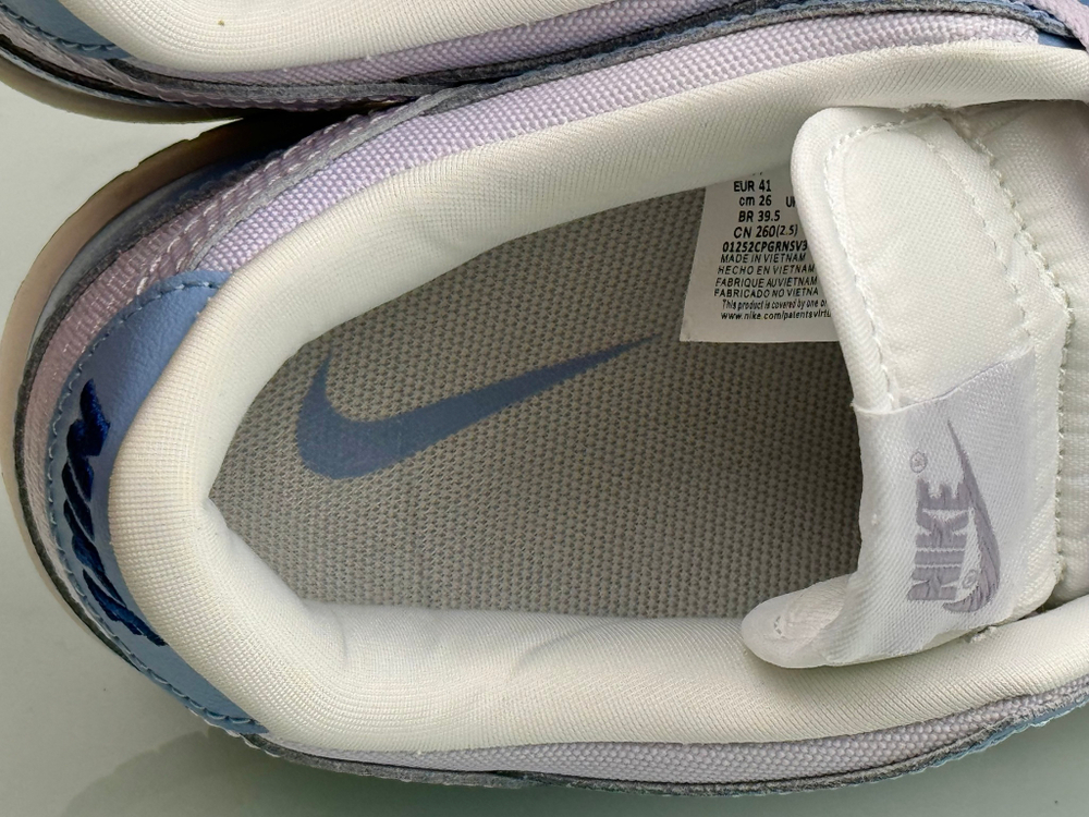 Nike Dunk Low Blue Airbush