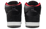 Кроссовки Nike Dunk Sb Brooklyn Projects Paparazzi