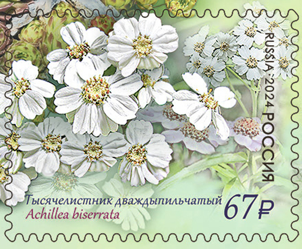 Марка номиналом 67 рублей. Серия «Флора России. К 100-летию Кавказского государственного заповедника»