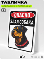 Табличка "Опасно, злая собака" на дверь и забор, для двора, дома, подъезда, 40х30 см, Silver Plane x Айдентика Технолоджи