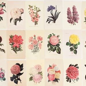 Набор открыток Herbarium