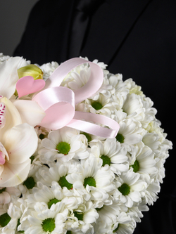 Моя Нежность