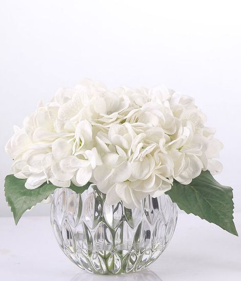 Белые гортензии, Cote Noire