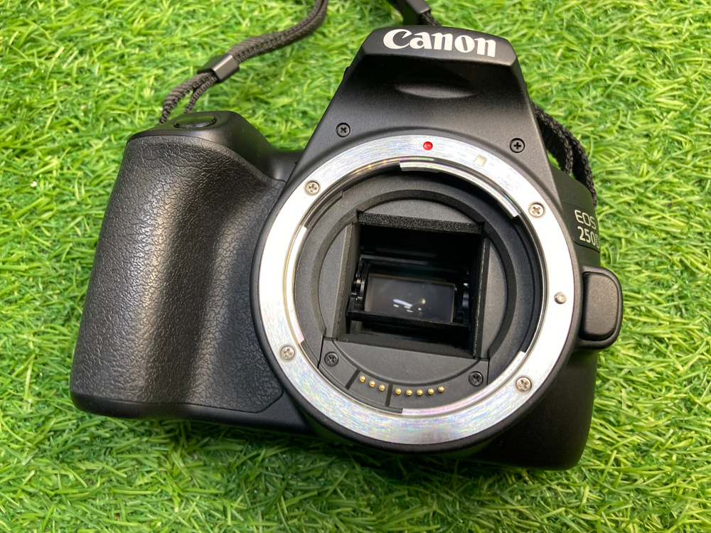 Canon 250D + 18-55mm (1000 кадров) Покупка/Продажа